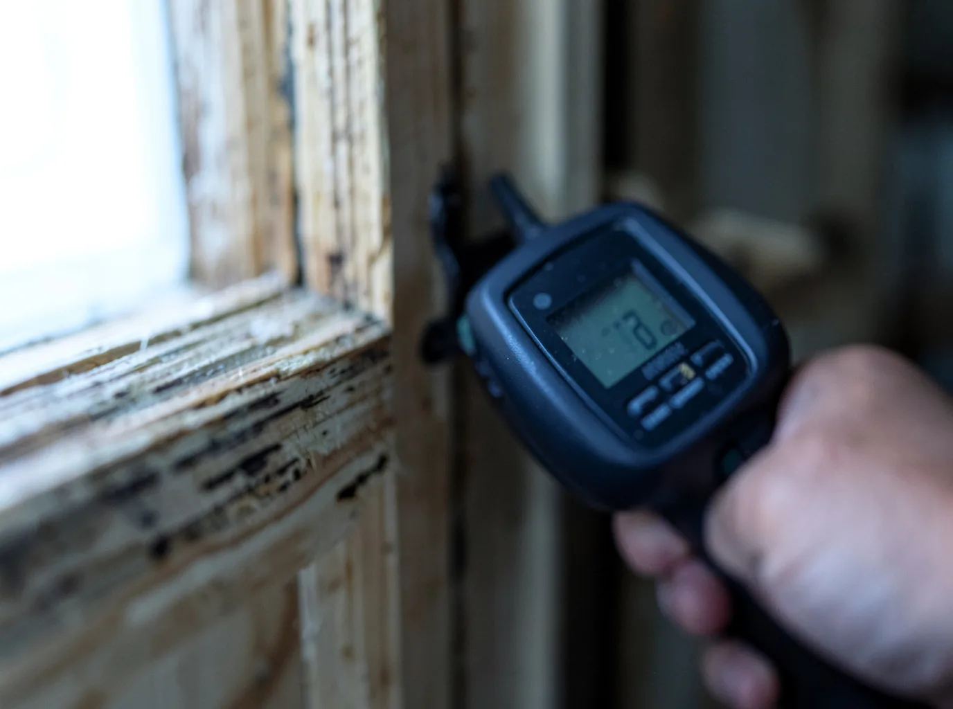 Moisture Inspection And Documentation in Farmland, IN